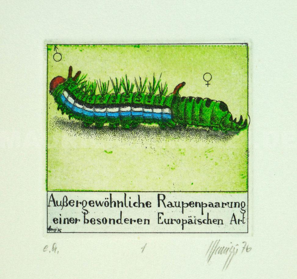 Mappe: Von Raupen und Schmetterlingen 01